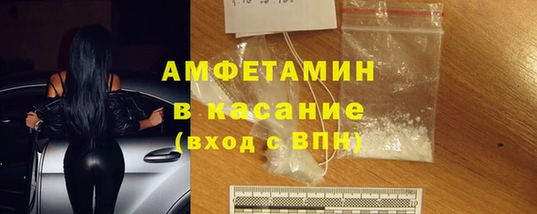 ПСИЛОЦИБИНОВЫЕ ГРИБЫ Гусев