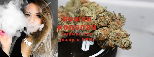 прущие крисы Елабуга