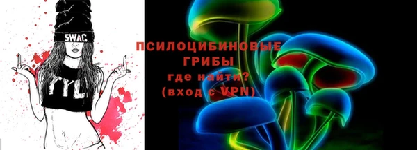 стаф Елизово