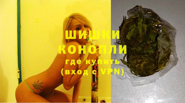 соль ск Козельск